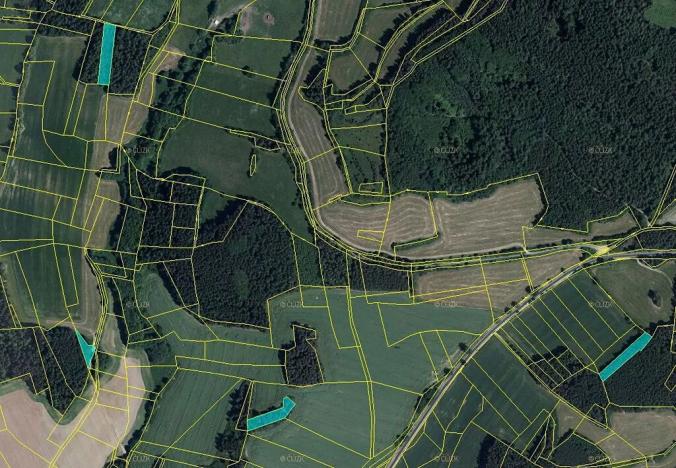 Prodej lesa, Úlehle, 3744 m2