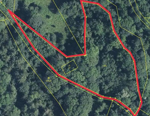 Prodej lesa, Trutnov, 4983 m2