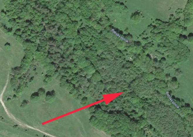 Prodej lesa, Trutnov, 13585 m2