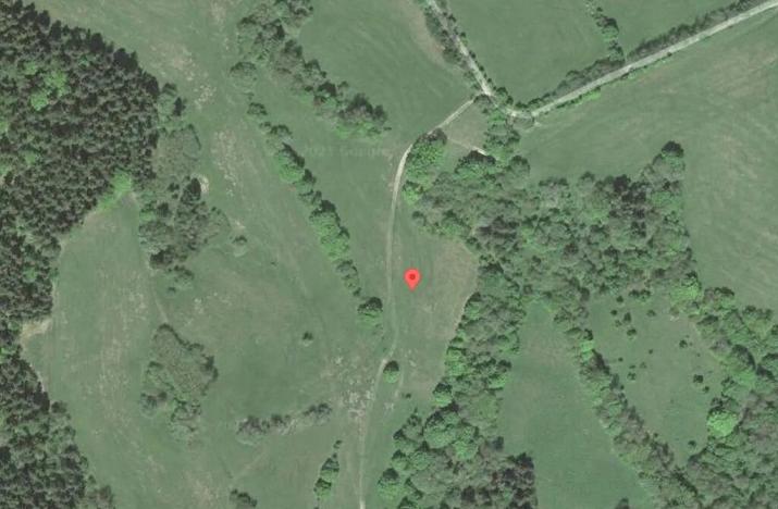 Prodej louky, Trutnov, 9131 m2