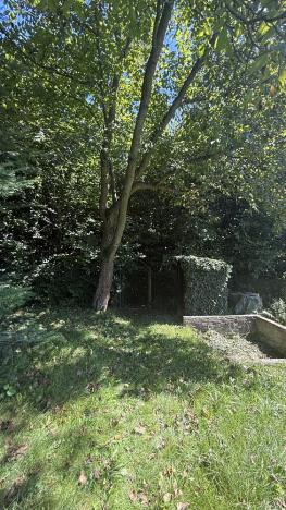 Prodej chaty, Orlová - Město, Dr. M. Tyrše, 28 m2