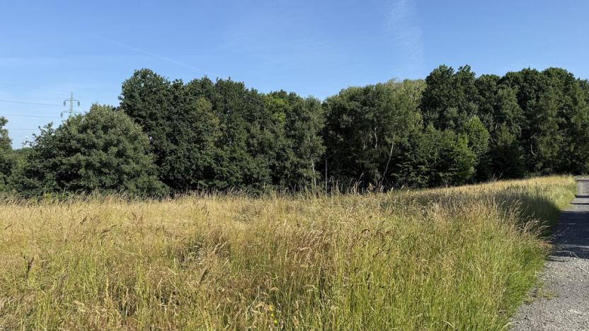 Pronájem louky, Ostrava - Polanka nad Odrou, K Lípě, 9850 m2