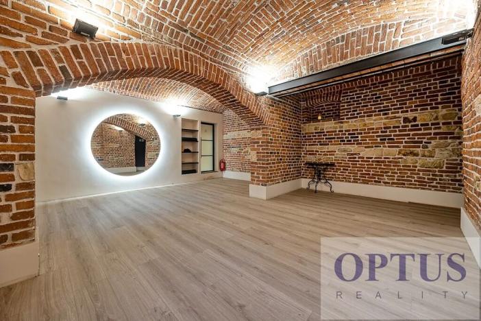 Pronájem bytu 6+kk a větší, Praha - Staré Město, Dušní, 218 m2