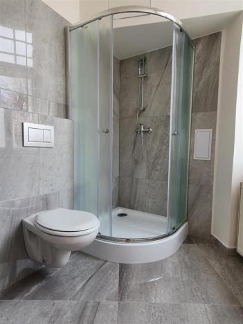 Pronájem bytu 1+kk, Praha, Svobodova, 30 m2