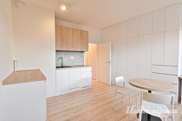 Pronájem bytu 1+kk, Brno, Křenová, 28 m2