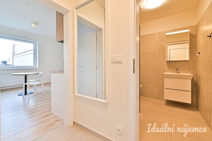 Pronájem bytu 1+kk, Brno, Křenová, 28 m2