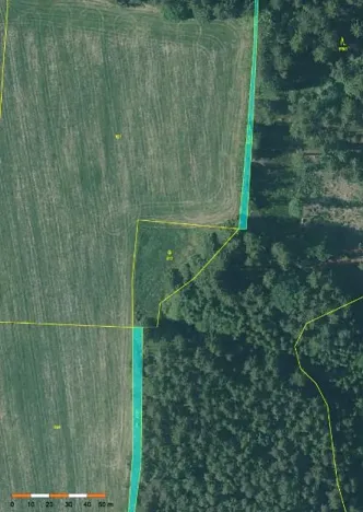 Prodej lesa, Nová Bystřice, 708 m2