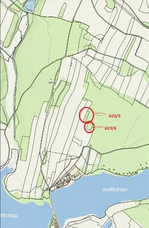 Prodej lesa, Nová Bystřice, 2850 m2