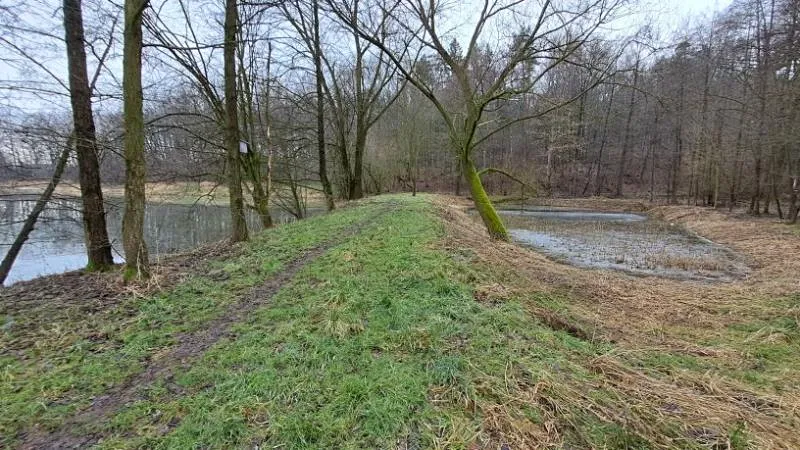 Prodej rybníku, Ostrava, 13195 m2