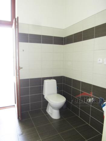 Pronájem bytu 1+kk, Opava - Předměstí, Kasárenská, 51 m2