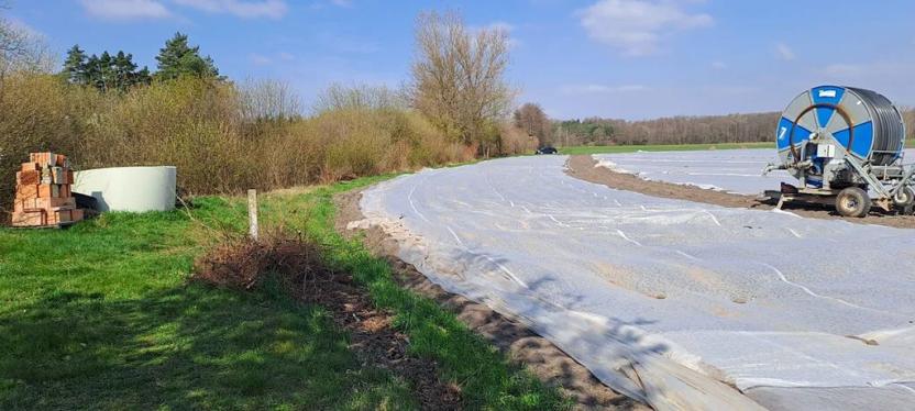 Prodej pozemku pro bydlení, Sadská, 1267 m2