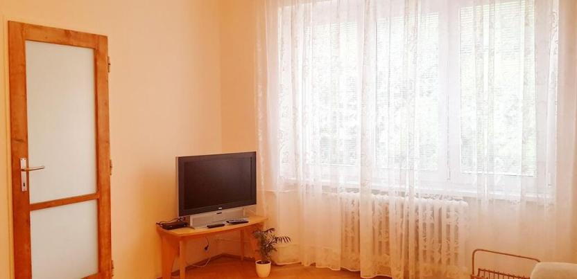 Pronájem bytu 1+1, Brno - Veveří, Úvoz, 38 m2