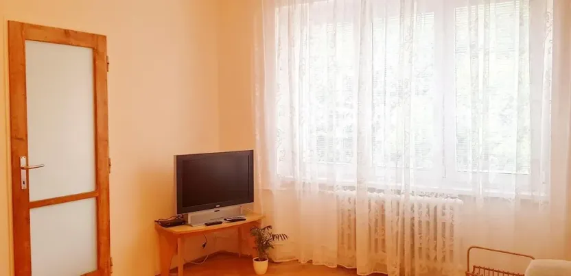 Pronájem bytu 1+1, Brno - Veveří, Úvoz, 38 m2