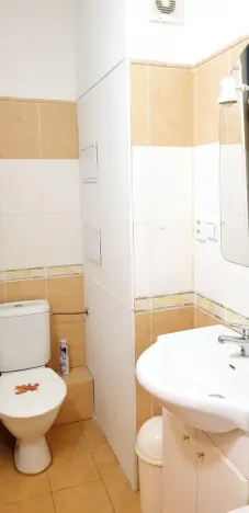 Pronájem bytu 1+1, Brno - Veveří, Úvoz, 38 m2