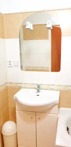 Pronájem bytu 1+1, Brno - Veveří, Úvoz, 38 m2