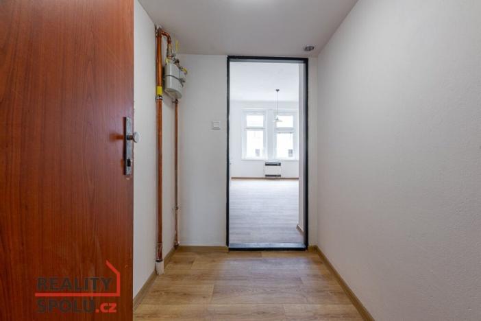 Pronájem bytu 2+kk, Plzeň - Jižní Předměstí, Karlova, 56 m2