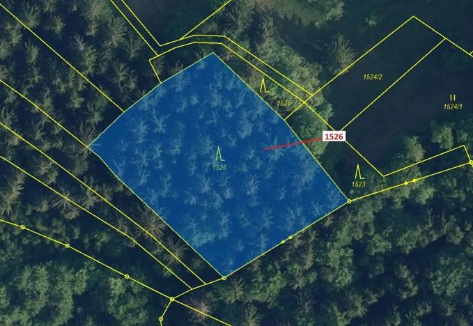 Dražba lesa, Jablonec nad Jizerou, 2579 m2