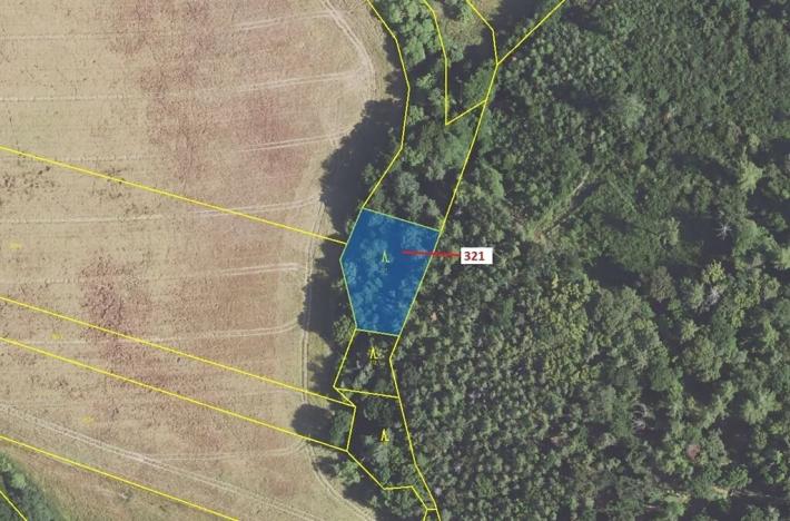 Dražba lesa, Sýkořice, 1242 m2