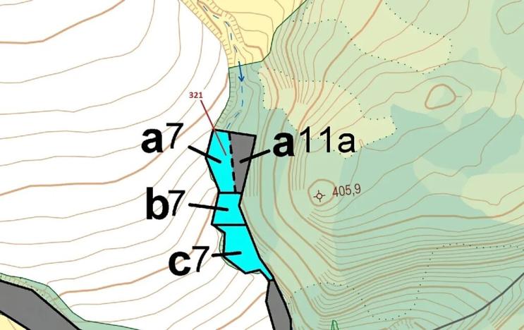 Dražba lesa, Sýkořice, 1242 m2