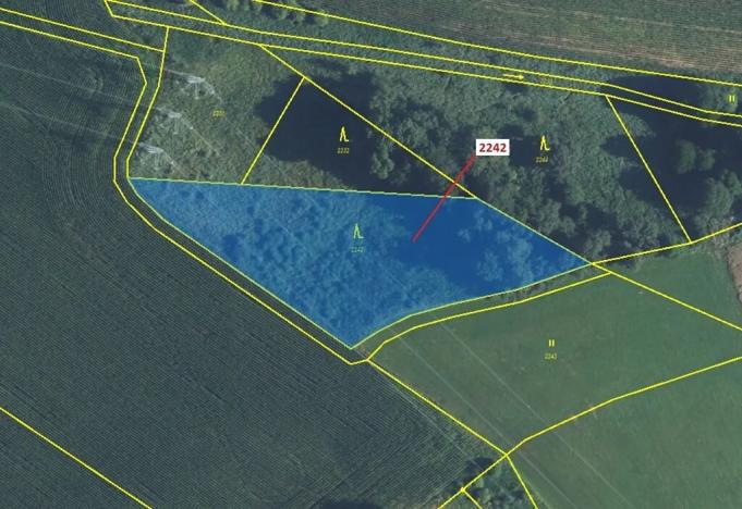 Dražba lesa, Trpík, 3972 m2