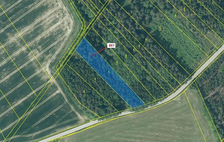 Dražba lesa, Netřebice, 3608 m2