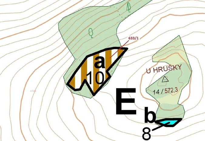 Dražba lesa, Bednáreček, 2802 m2