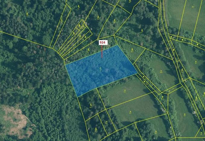 Dražba lesa, Rabí, 6042 m2