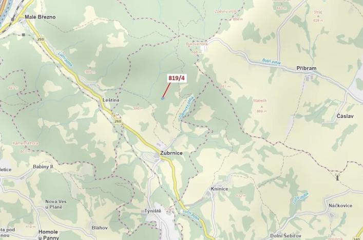 Dražba lesa, Zubrnice, 2875 m2