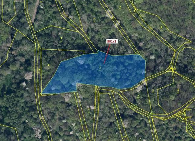 Dražba lesa, Zubrnice, 8765 m2