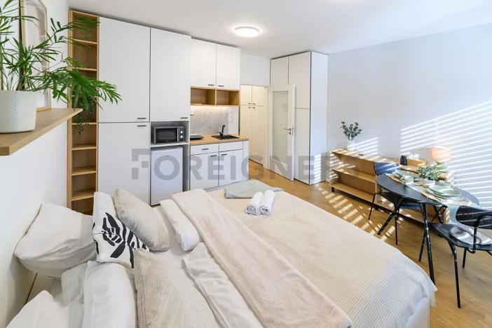 Pronájem bytu 1+kk, Brno, Cejl, 30 m2