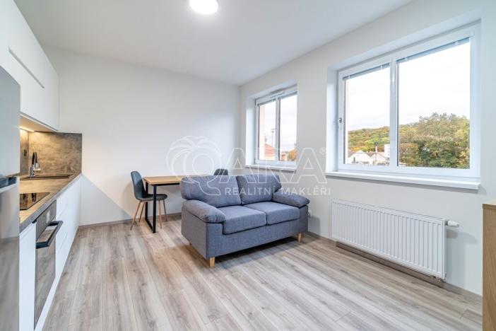 Pronájem bytu 1+kk, Kralupy nad Vltavou, S. K. Neumanna, 33 m2