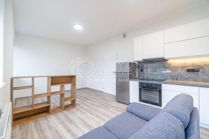 Pronájem bytu 1+kk, Kralupy nad Vltavou, S. K. Neumanna, 33 m2