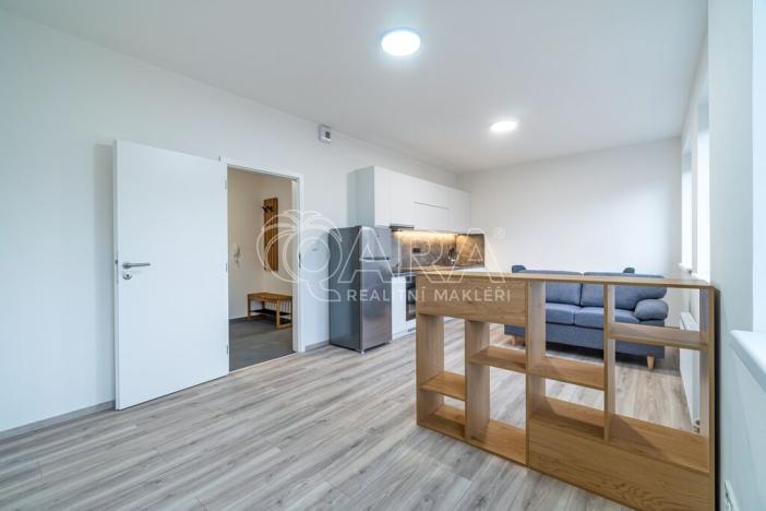 Pronájem bytu 1+kk, Kralupy nad Vltavou, S. K. Neumanna, 33 m2