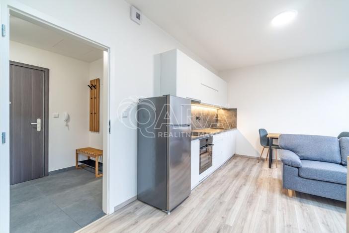 Pronájem bytu 1+kk, Kralupy nad Vltavou, S. K. Neumanna, 33 m2