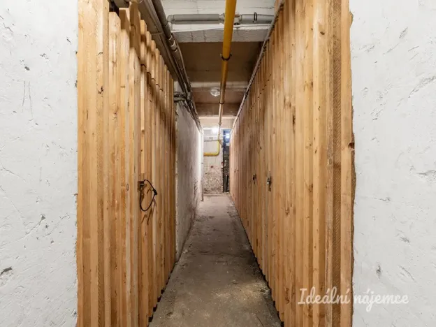 Pronájem bytu 1+kk, Praha - Podolí, Doudova, 33 m2