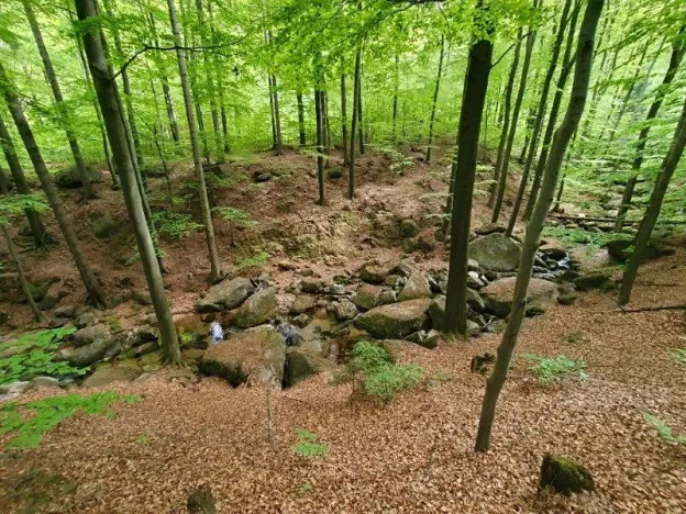 Prodej chalupy, Jindřichovice pod Smrkem, 150 m2