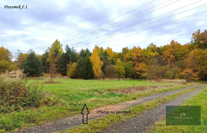 Prodej louky, Rokycany, K Lopatárně, 4651 m2