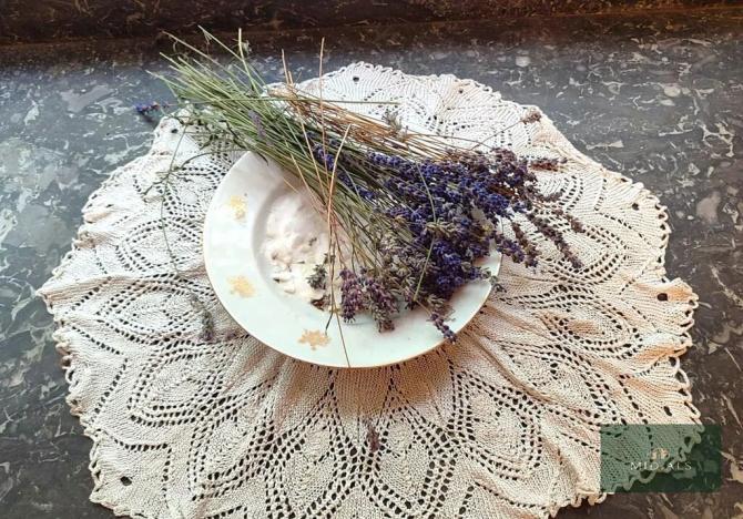 Prodej rodinného domu, Rokycany, K Borku, 94 m2