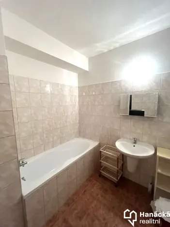 Pronájem bytu 1+kk, Olomouc, Družební, 30 m2