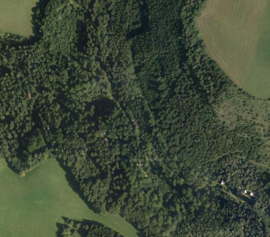 Prodej lesa, Štíty, 93672 m2