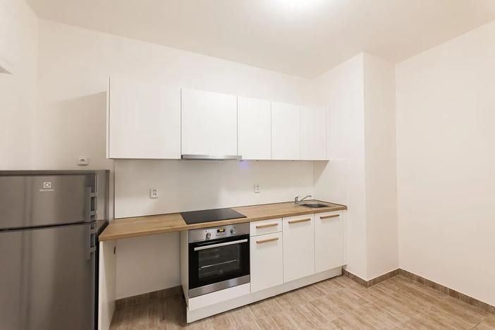 Pronájem bytu 2+1, Praha - Bubeneč, U zeměpisného ústavu, 46 m2