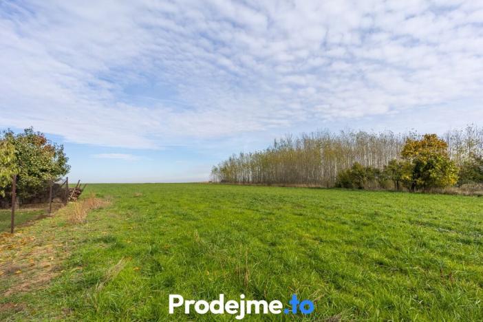 Prodej pozemku pro bydlení, Přešovice, 3854 m2