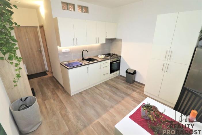 Pronájem bytu 1+1, Ostrava - Moravská Ostrava, Petra Křičky, 40 m2