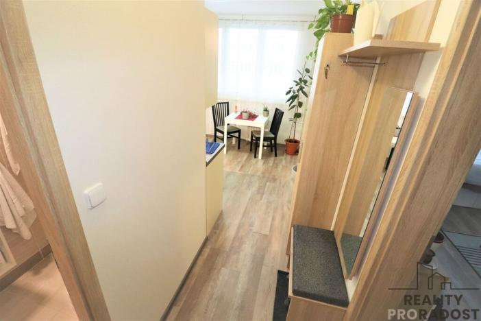 Pronájem bytu 1+1, Ostrava - Moravská Ostrava, Petra Křičky, 40 m2