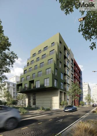 Prodej bytu 2+kk, Golem, 79 m2