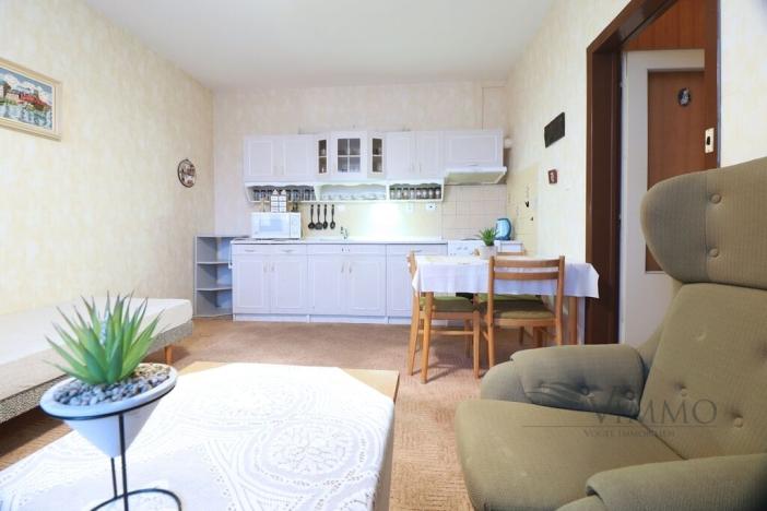 Pronájem bytu 2+kk, České Budějovice, K. Chocholy, 49 m2