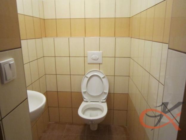 Pronájem obchodního prostoru, Prostějov, Svatoplukova, 48 m2