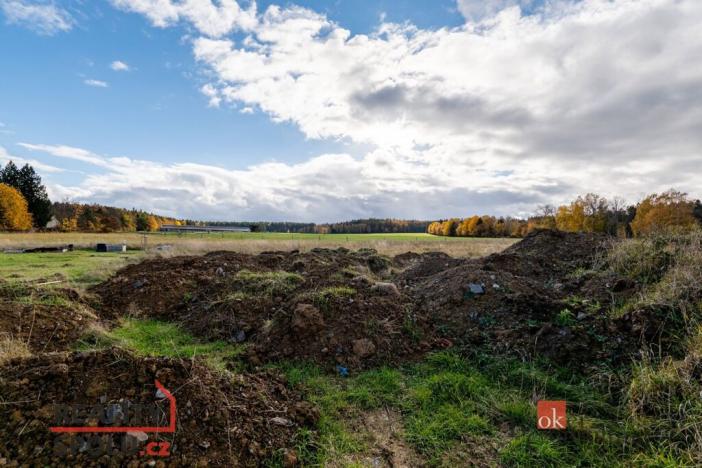 Prodej pozemku pro bydlení, Střížovice, 1041 m2