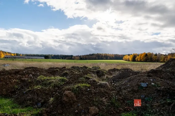 Prodej pozemku pro bydlení, Střížovice, 1041 m2