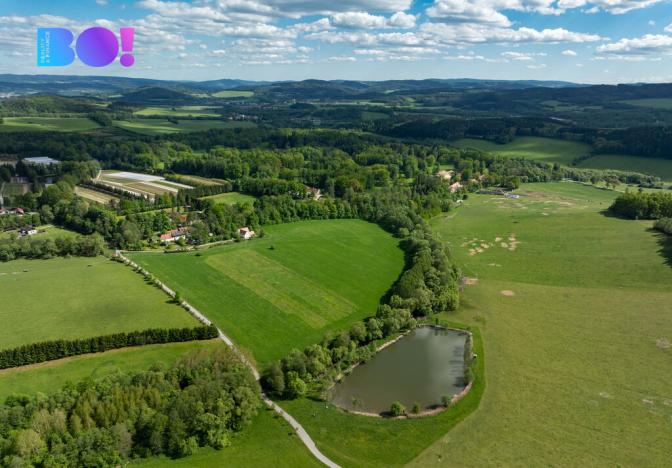 Prodej pole, Chvalšiny, 55021 m2